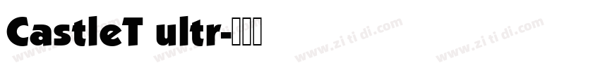 CastleT ultr字体转换